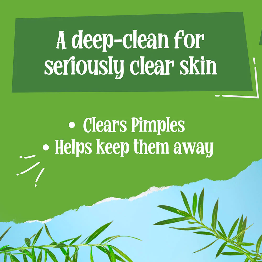 St. Ives Tea Tree Pimple Clear Deep Cleansing Face Wash 100gm Jeevee